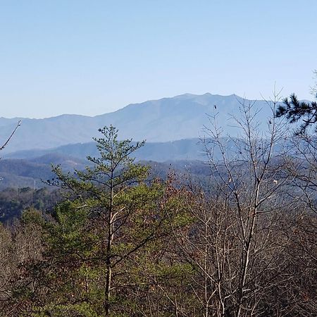Lazy Bear Cabin Sevierville Exteriér fotografie