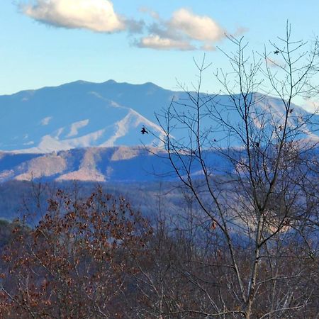 Lazy Bear Cabin Sevierville Exteriér fotografie