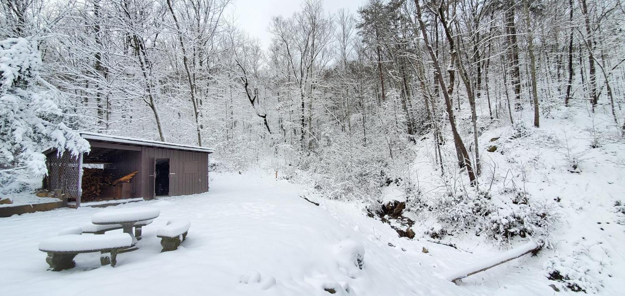 Lazy Bear Cabin Sevierville Exteriér fotografie